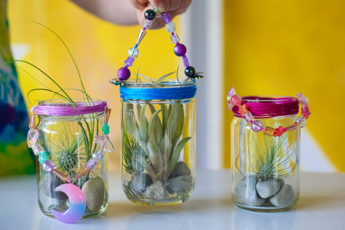 Mystic Beaded Plant Hanger