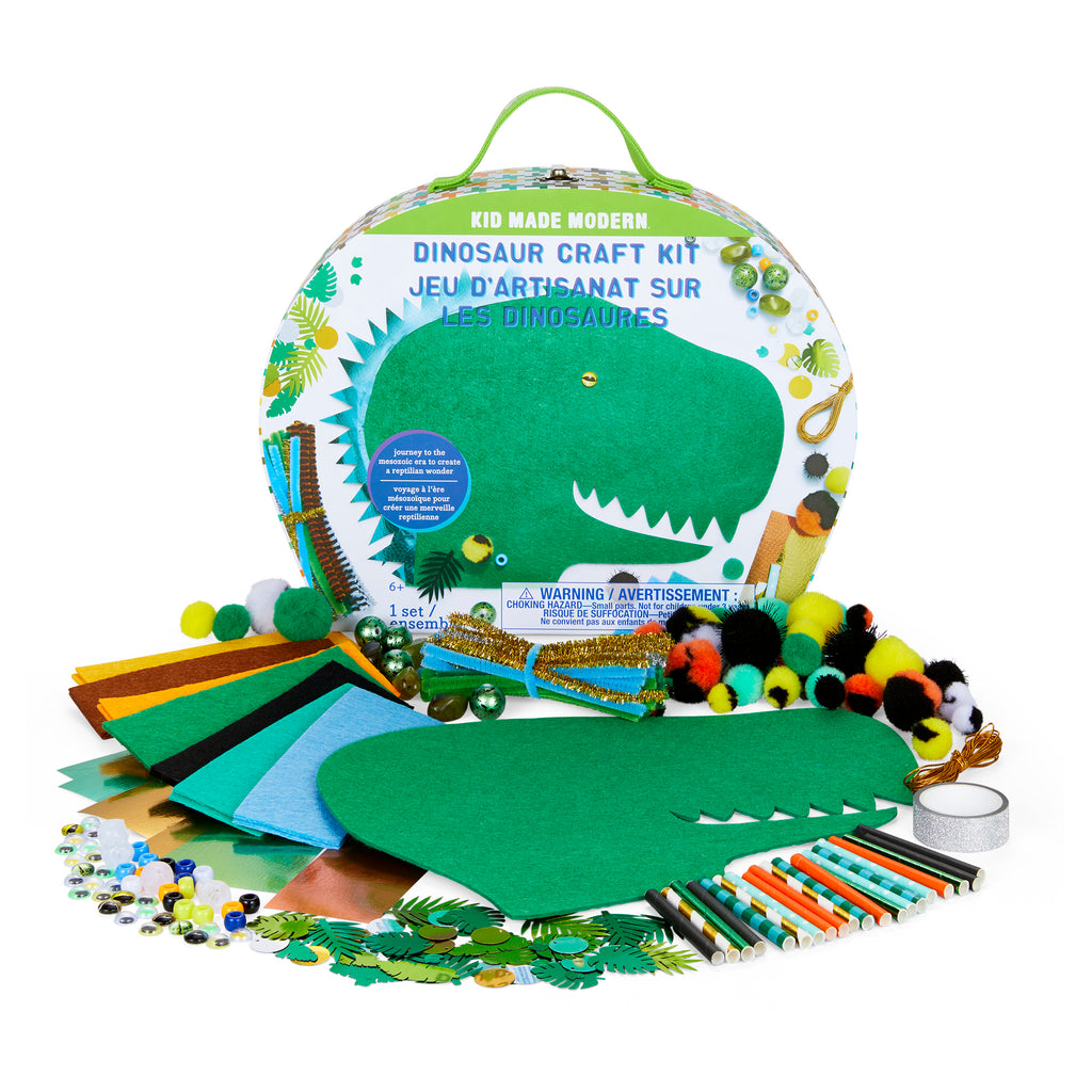 Dinosaur Craft Kit Full Box